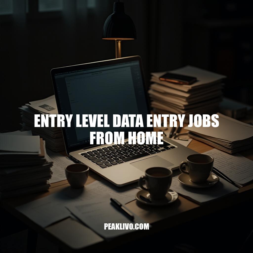 Entry Level Data Entry Jobs From Home: A Beginner's Guide